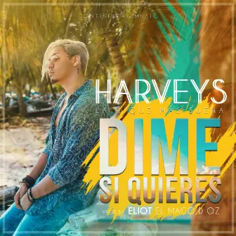 Dime Si quieres by Harveys