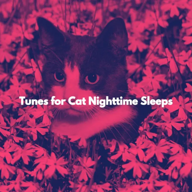 Tunes for Cat Nighttime Sleeps