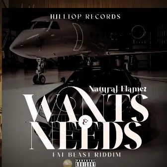 Wants & Needs by Natural Flamez