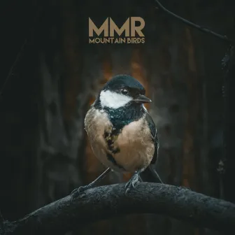 Mountain Birds by Mountain Man Recordings