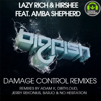 Damage Control Remixes by Hirshee