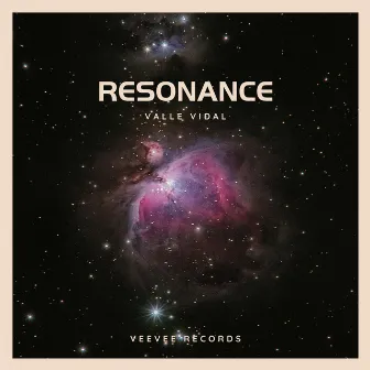 Resonance (Radio Edit) by Valle Vidal