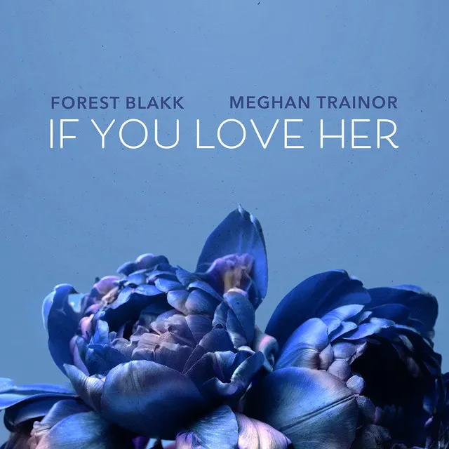 If You Love Her - feat. Meghan Trainor