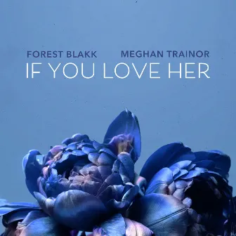 If You Love Her (feat. Meghan Trainor) by Forest Blakk