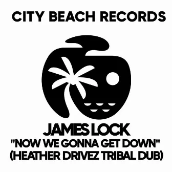 Now We Gonna Get Down (Heather Drivez Tribal Dub) by James Lock