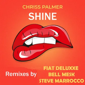 Shine (Remixes) by Chriss Palmer