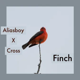 Finch by Cross