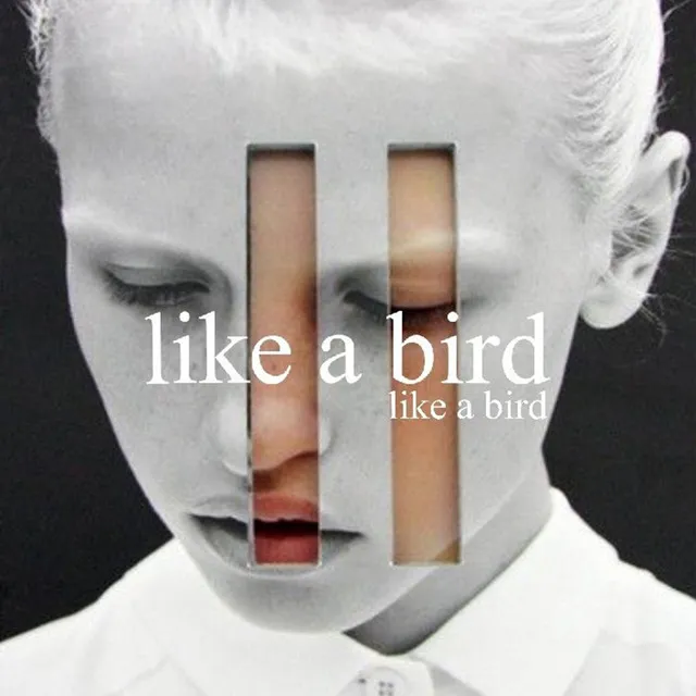 Like a Bird