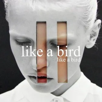 Like a Bird by Set