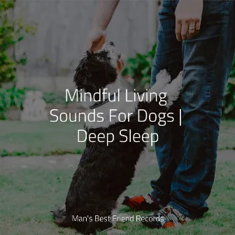 Mindful Living Sounds For Dogs | Deep Sleep by Official Pet Care Collection