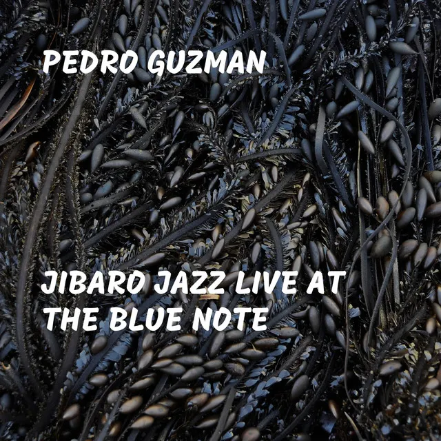 Jibaro Jazz Live At the Blue Note