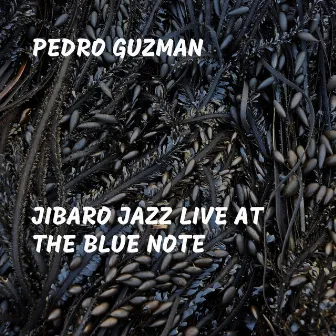 Jibaro Jazz Live At the Blue Note by Pedro Guzmán