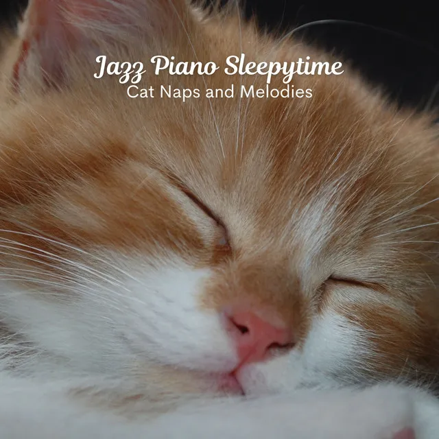 Jazz Piano Sleepytime: Cat Naps and Melodies