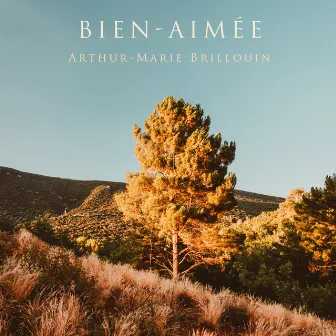 Bien-Aimée by Arthur-Marie Brillouin