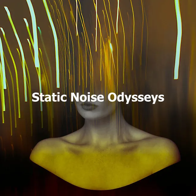 Static Noise Odysseys