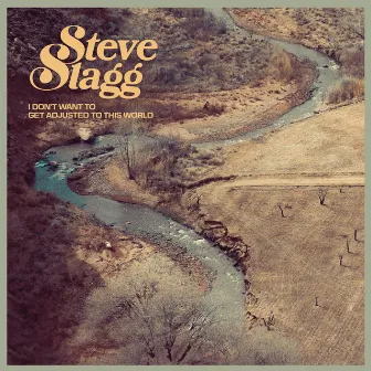 I Don't Want to Get Adjusted to This World by Steve Slagg