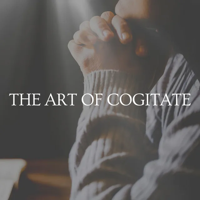 The Art of Cogitate, Pt. 14