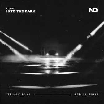 Into the Dark by Ozlig