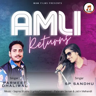 Amli Returns by Sp Sandhu