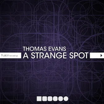 A Strange Spot by Thomas Evan's