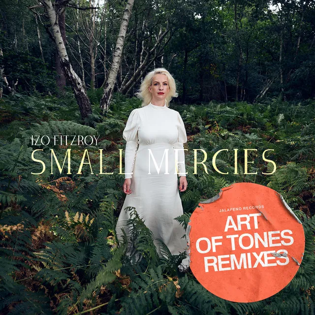 Small Mercies - Art Of Tones Remix