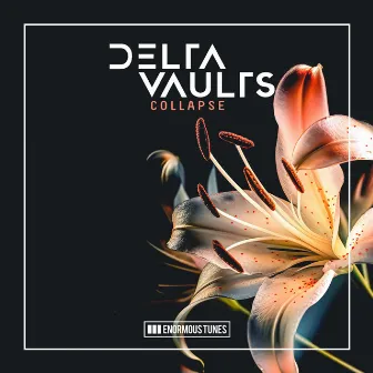 Collapse by Delta Vaults