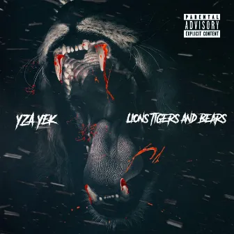 Lions Tigers and Bears by YZA Yek