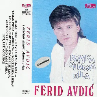 Navika si moja bila by Ferid Avdic