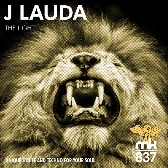 The Light by J Lauda