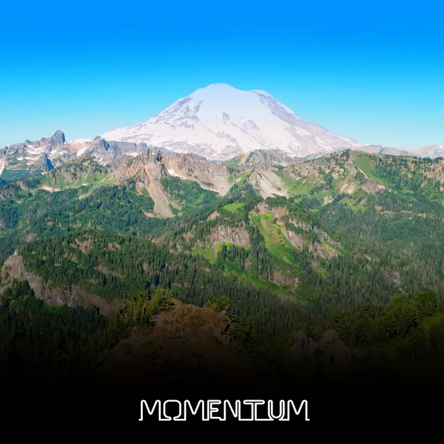 Momentum