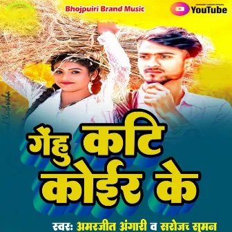 Gehu Kati Koiar Ke by Amarjeet Angari