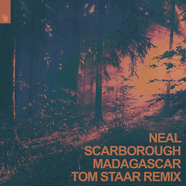 Madagascar (Tom Staar Remix)