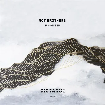 Sunshine EP by Not Brothers