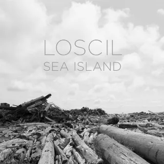 Sea Island by Loscil