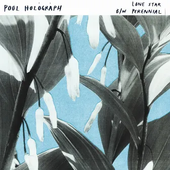 Lone Star b​/​w Perennial by Pool Holograph