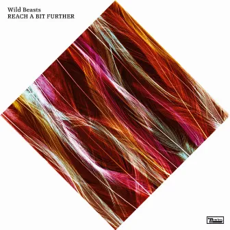 Reach A Bit Further by Wild Beasts