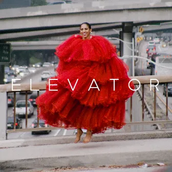 Elevator by Gavin Turek