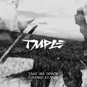 Take Me Down by TMPLE