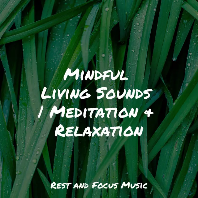 Mindful Living Sounds | Meditation & Relaxation