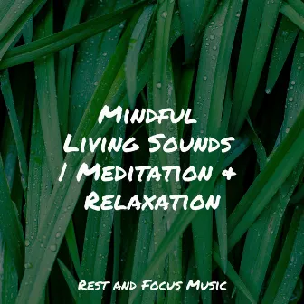 Mindful Living Sounds | Meditation & Relaxation by Baby Sleep Lullaby Academy