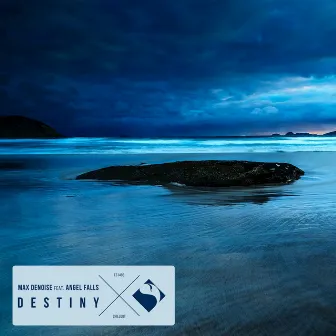 Destiny by Max Denoise