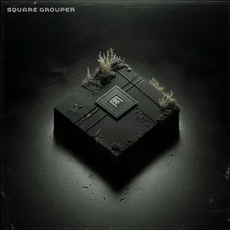 Square Grouper by Electric Kif