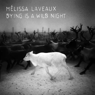 Dying Is a Wild Night by Melissa Laveaux