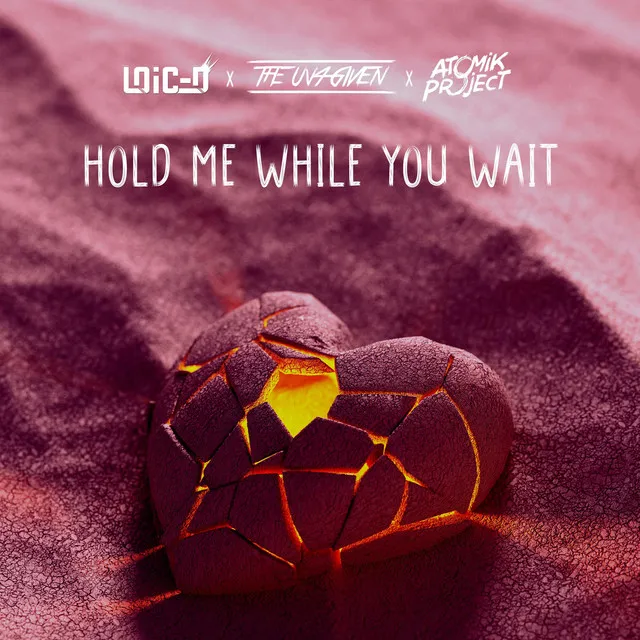 Hold Me While You Wait