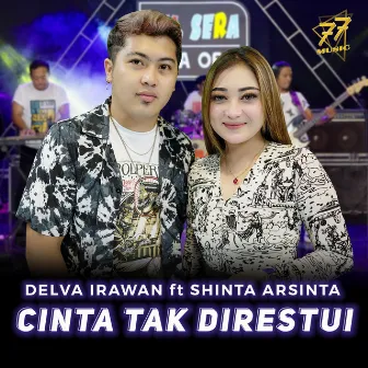 Cinta Tak Direstui by Delva Irawan