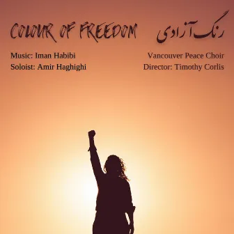 Colour of Freedom by Iman Habibi