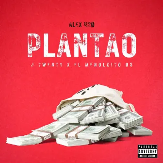 Plantao by Alex 420