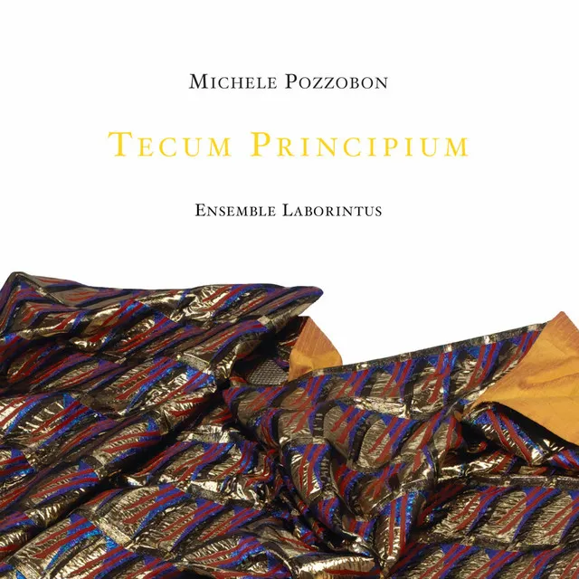 Tecum principum