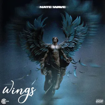 Wings by Natewave