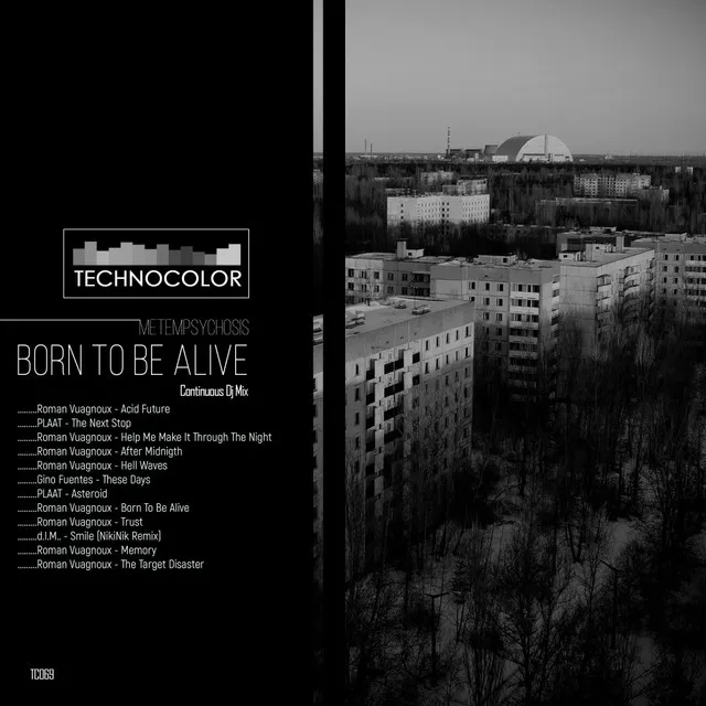 Born To Be Alive - Continuous Dj Mix